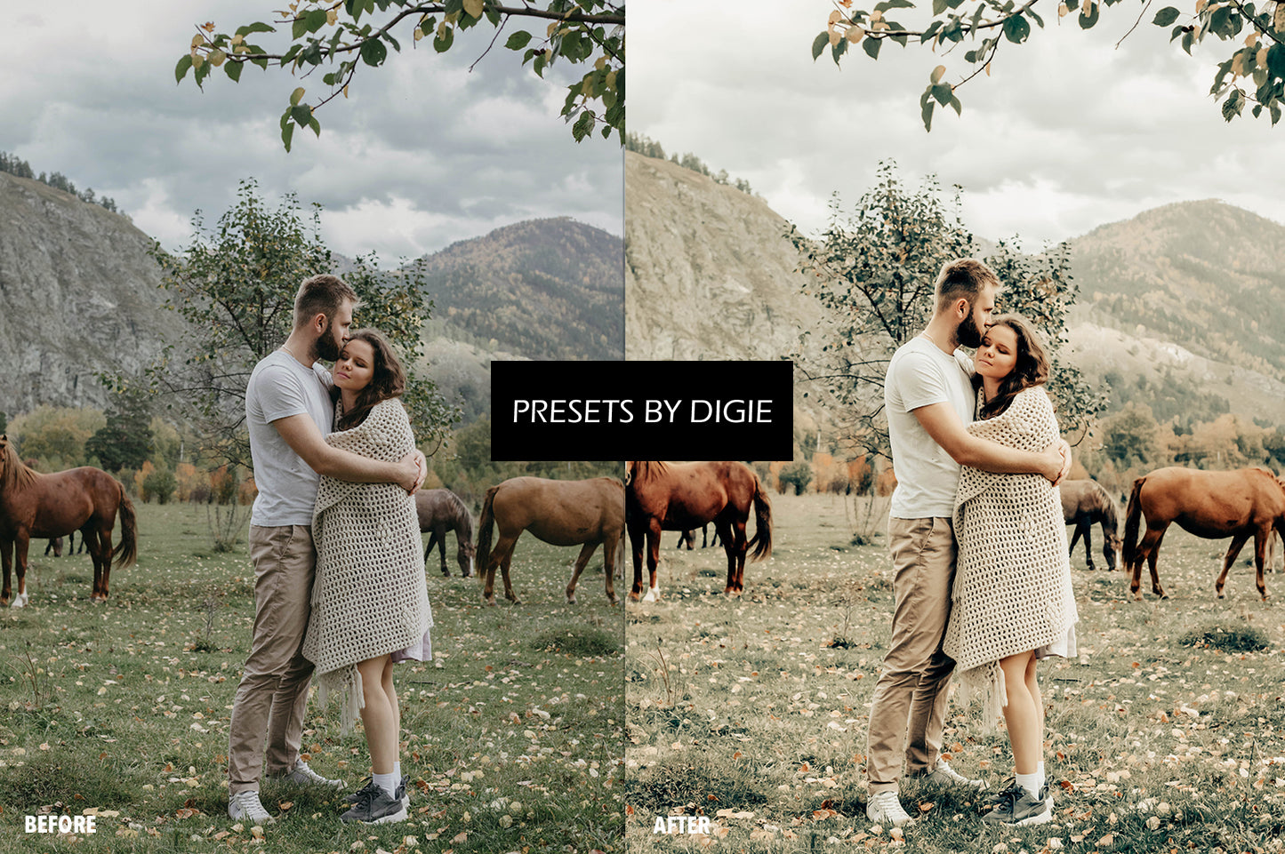 10 FARM LIGHTROOM MOBILE & DESKTOP PRESETS