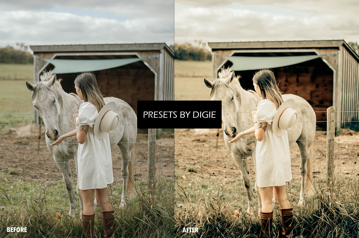 10 FARM LIGHTROOM MOBILE & DESKTOP PRESETS
