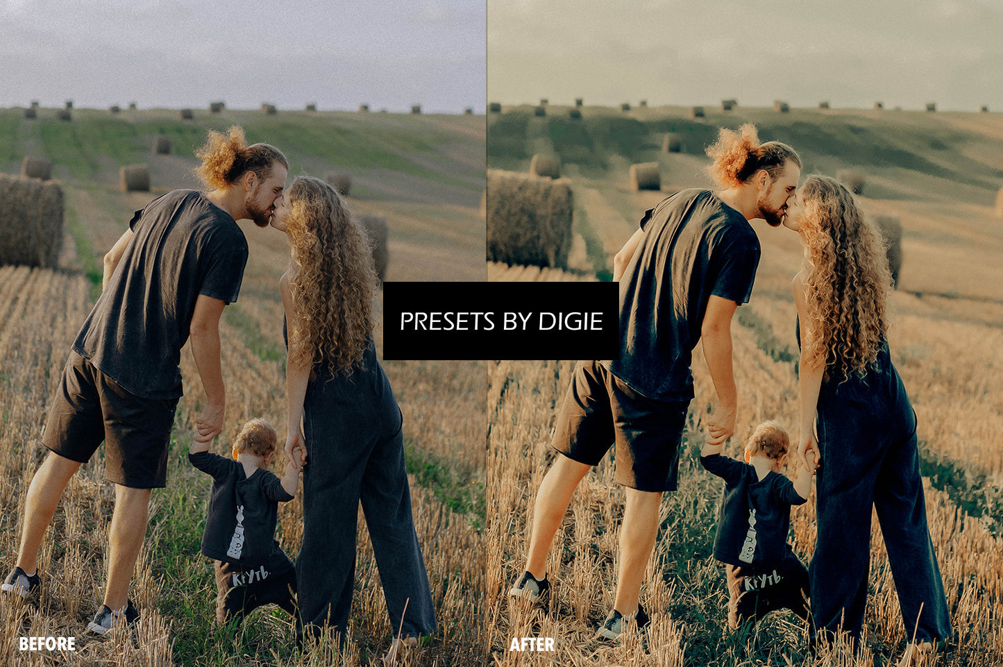 10 FARM LIGHTROOM MOBILE & DESKTOP PRESETS