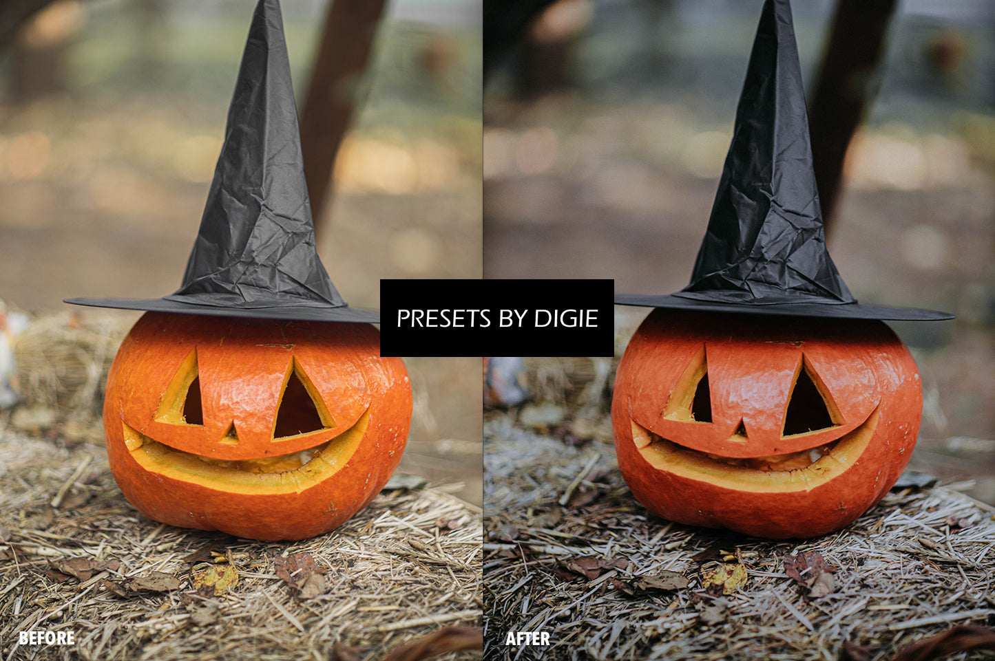 10 HALLOWEEN1 LIGHTROOM MOBILE & DESKTOP PRESETS