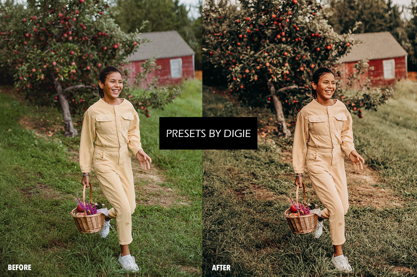 10 HARVEST LIGHTROOM MOBILE & DESKTOP PRESETS