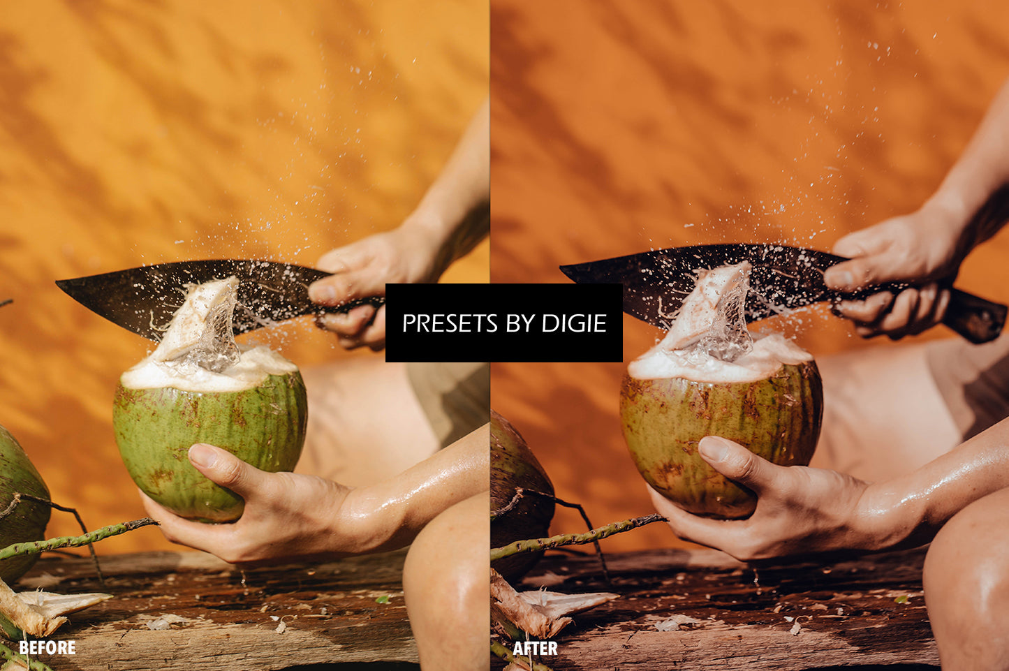 10 TROPICANA LIGHTROOM MOBILE & DESKTOP PRESETS