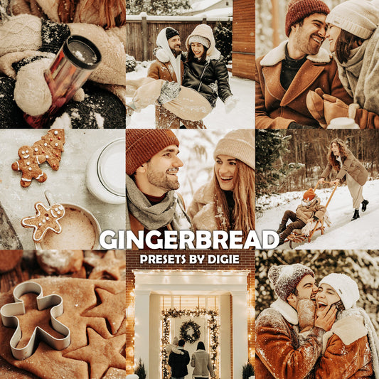 10 GINGERBREAD LIGHTROOM MOBILE & DESKTOP PRESETS