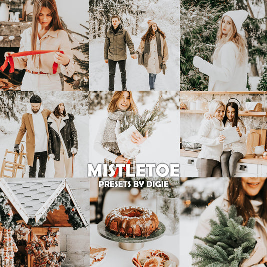 10 MISTLETOE LIGHTROOM MOBILE & DESKTOP PRESETS