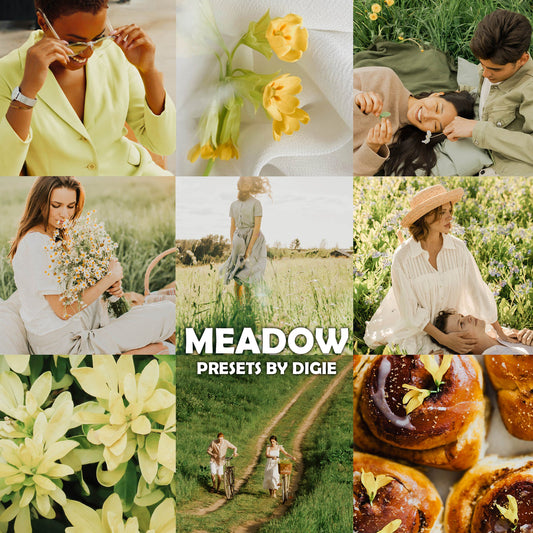 10 MEADOW LIGHTROOM MOBILE & DESKTOP PRESETS