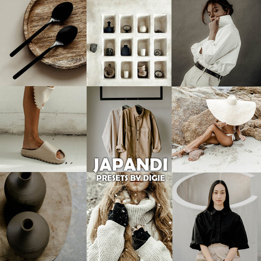 10 JAPANDI LIGHTROOM MOBILE & DESKTOP PRESETS