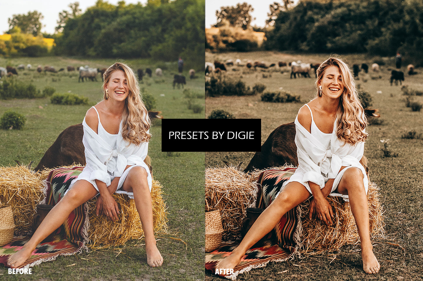 10 HARVEST LIGHTROOM MOBILE & DESKTOP PRESETS