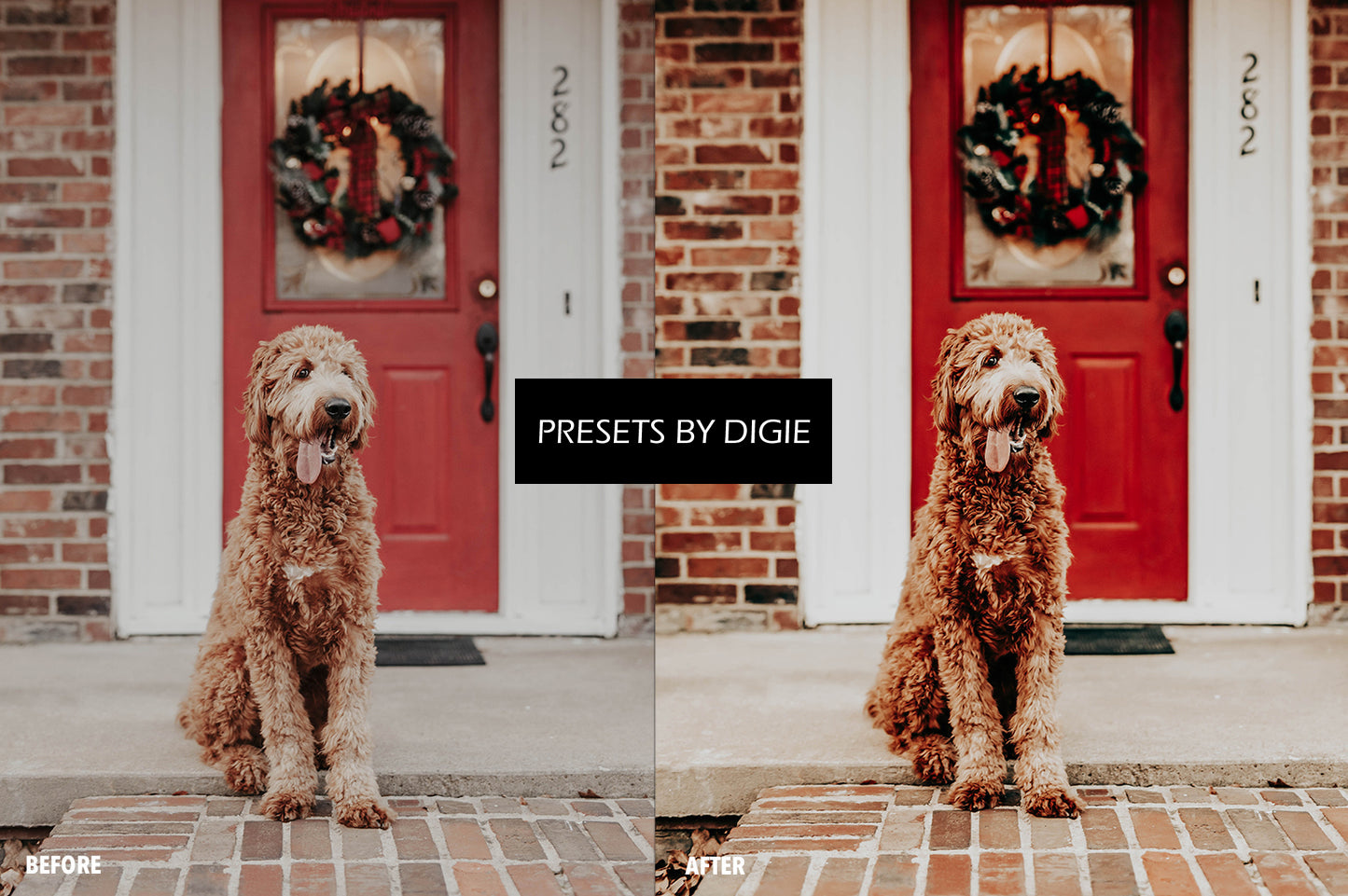 10 HOLIDAY LIGHTROOM MOBILE & DESKTOP PRESETS