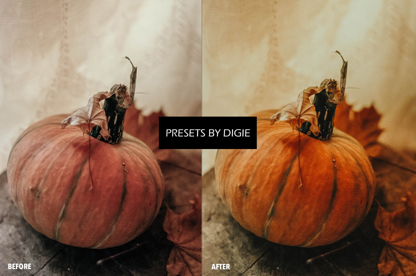 10 FALL FILM LIGHTROOM MOBILE & DESKTOP PRESETS