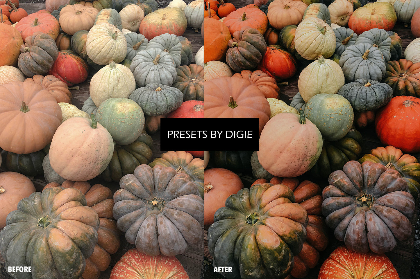 10 HALLOWEEN1 LIGHTROOM MOBILE & DESKTOP PRESETS