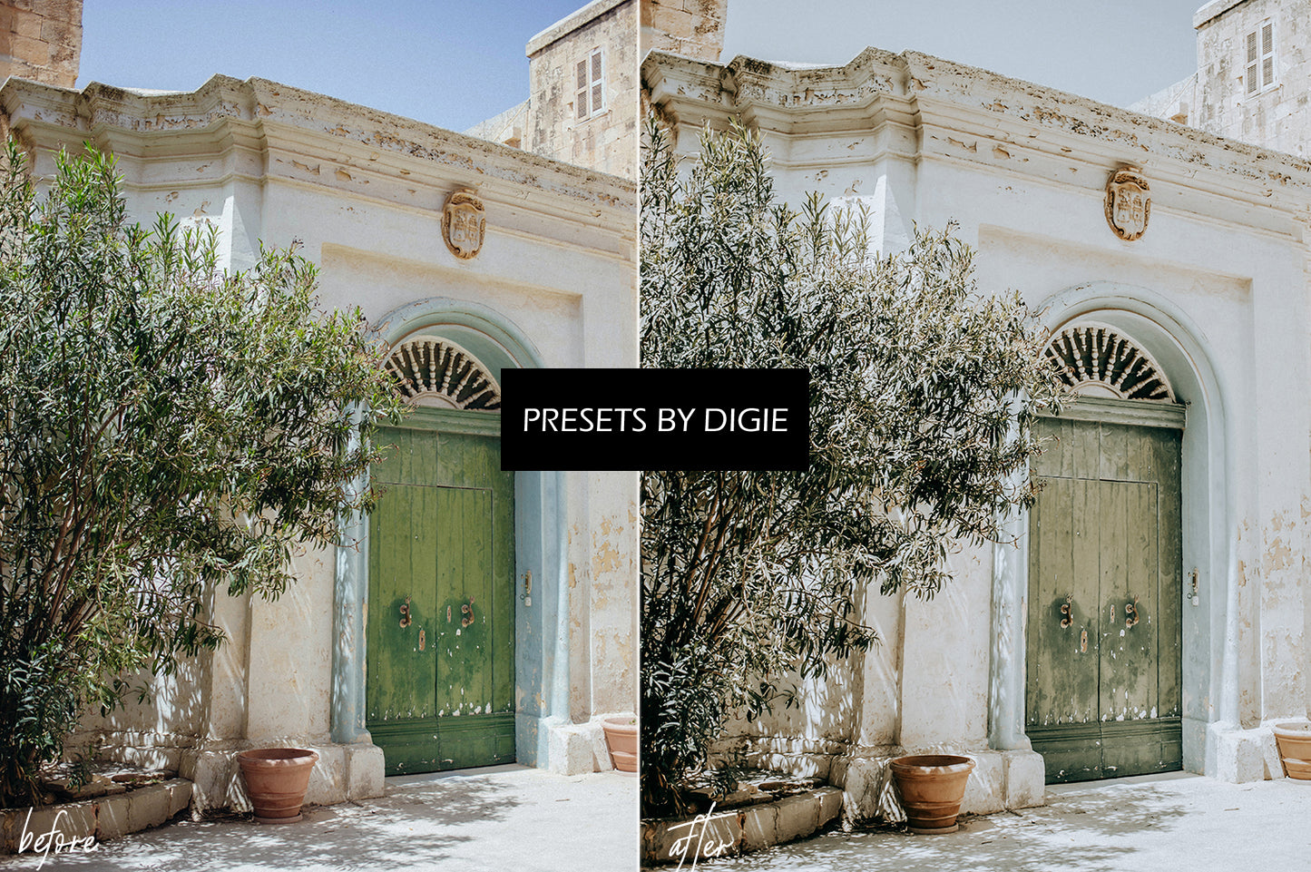 12 LIFESTYLE LIGHTROOM MOBILE & DESKTOP PRESETS