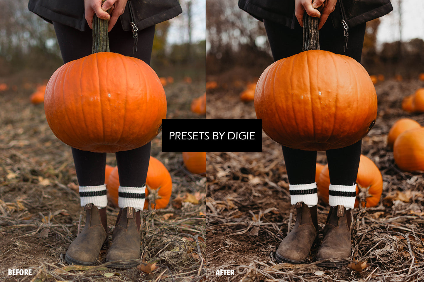 12 FALL LIGHTROOM MOBILE & DESKTOP PRESETS