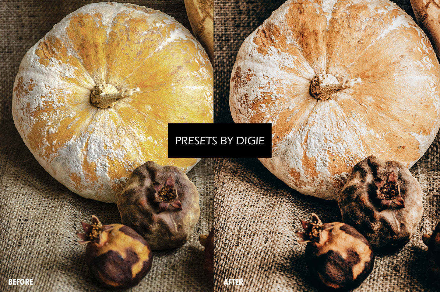 10 HARVEST LIGHTROOM MOBILE & DESKTOP PRESETS