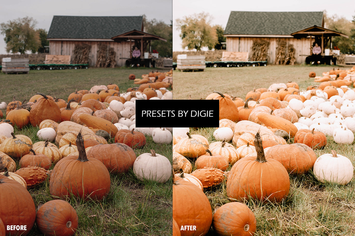 10 PUMPKIN LIGHTROOM MOBILE & DESKTOP PRESETS