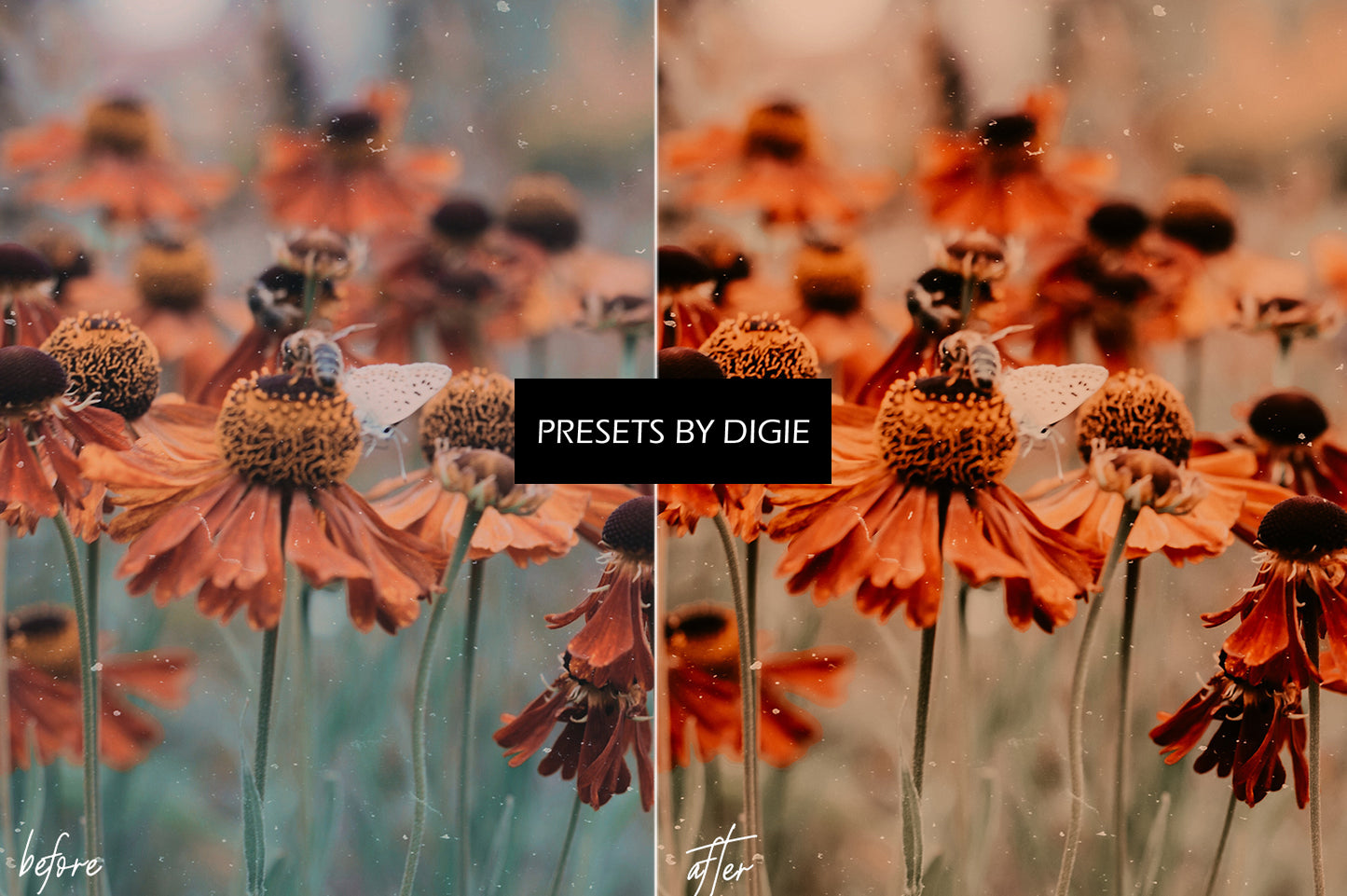 10 VINTAGE1 LIGHTROOM MOBILE & DESKTOP PRESETS