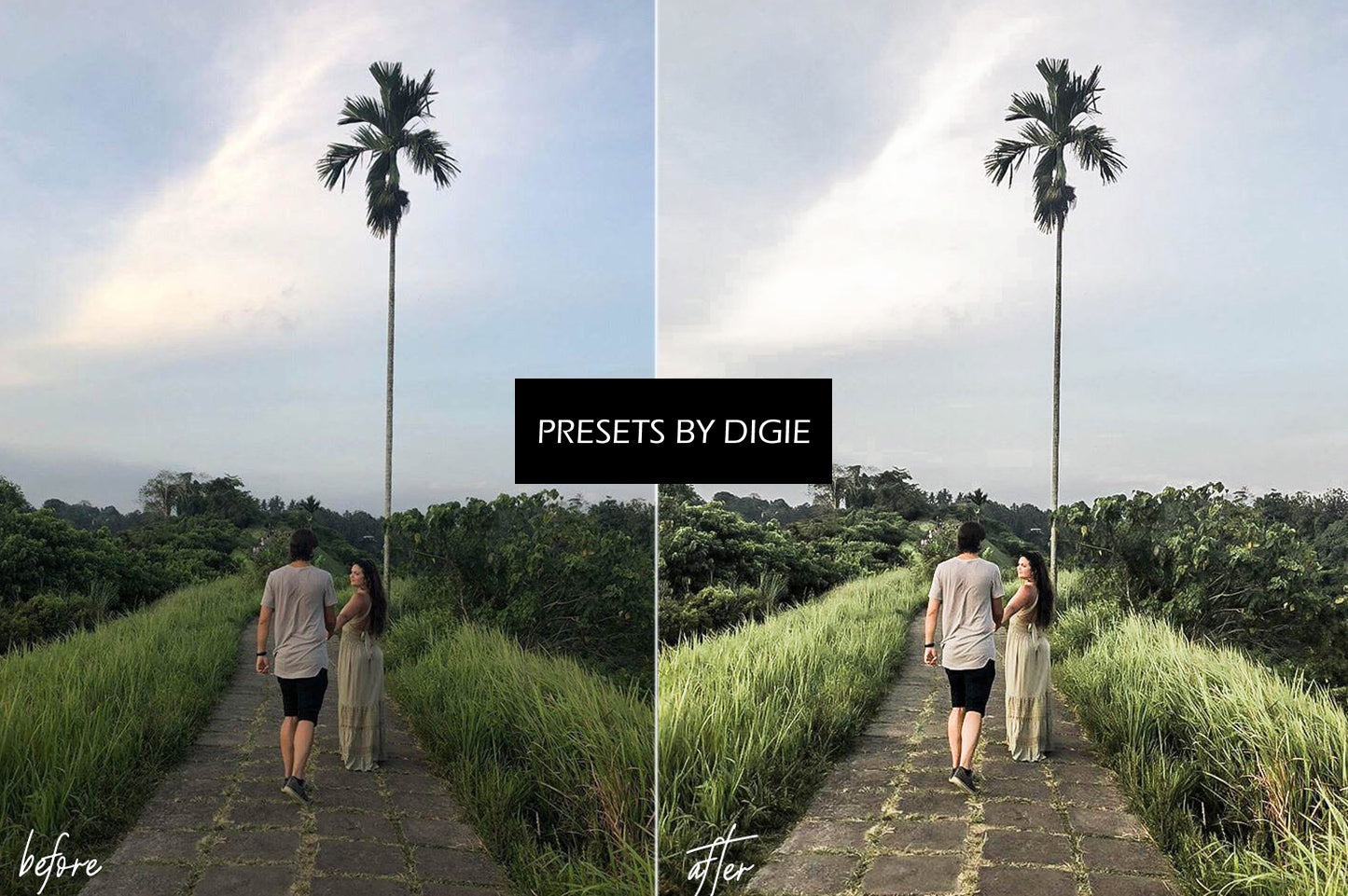 10 MATCHA LIGHTROOM MOBILE & DESKTOP PRESETS