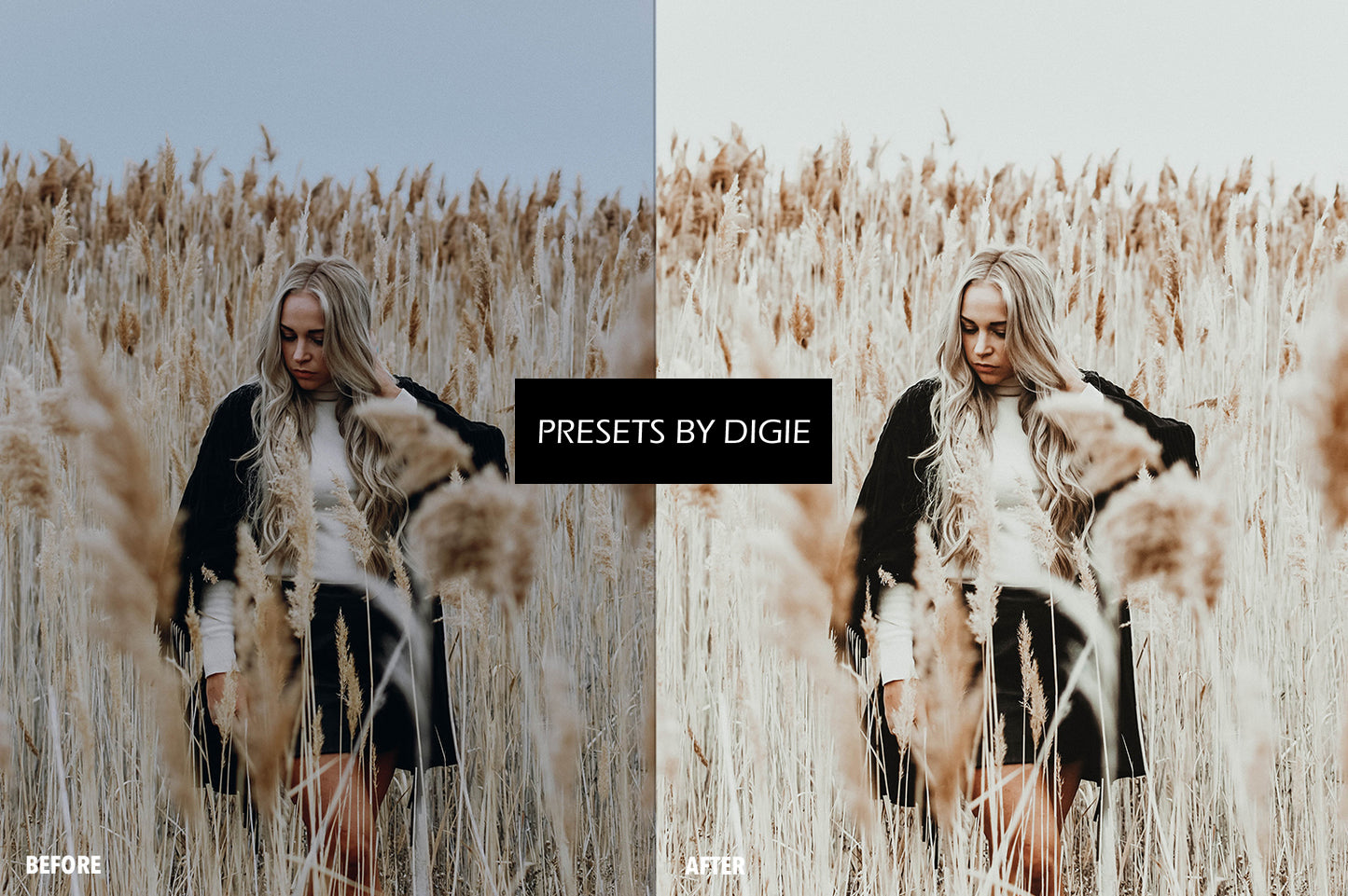 10 SEPTEMBER LIGHTROOM MOBILE & DESKTOP PRESETS