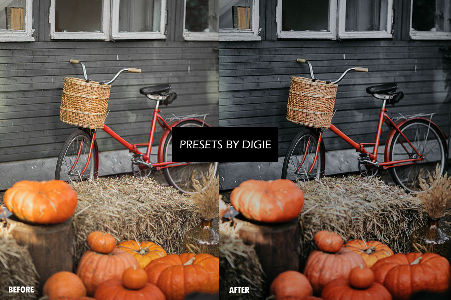 10 HALLOWEEN1 LIGHTROOM MOBILE & DESKTOP PRESETS