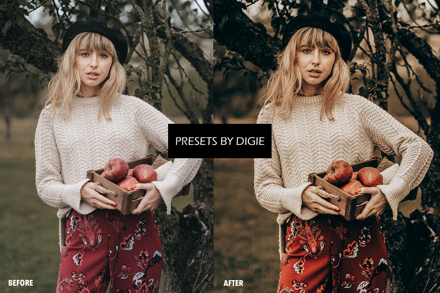 10 HARVEST LIGHTROOM MOBILE & DESKTOP PRESETS