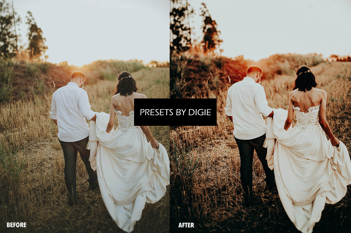 10 MOODY FOREST WEDDING LIGHTROOM PRESETS