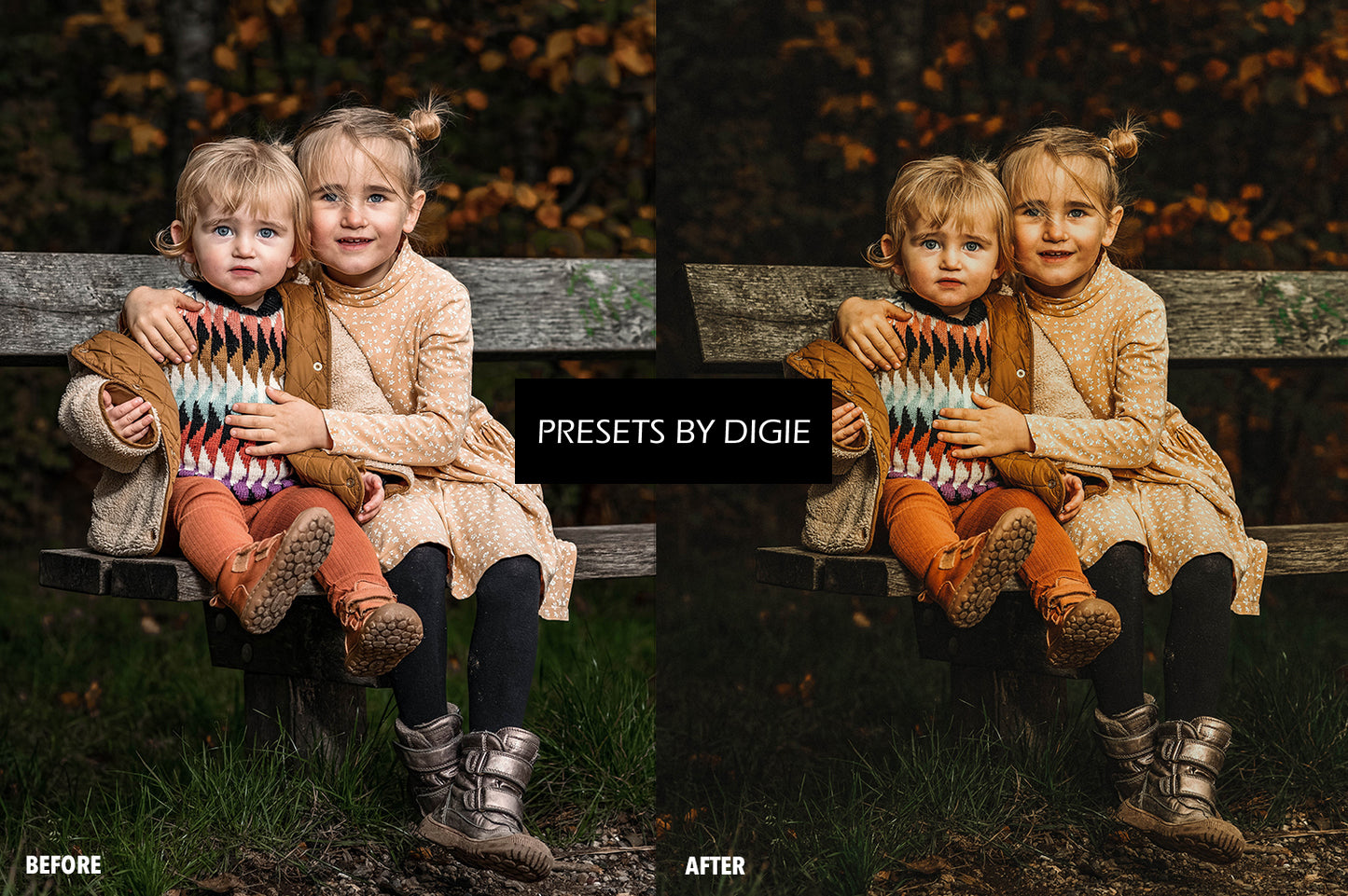 10 FALL FILM LIGHTROOM MOBILE & DESKTOP PRESETS