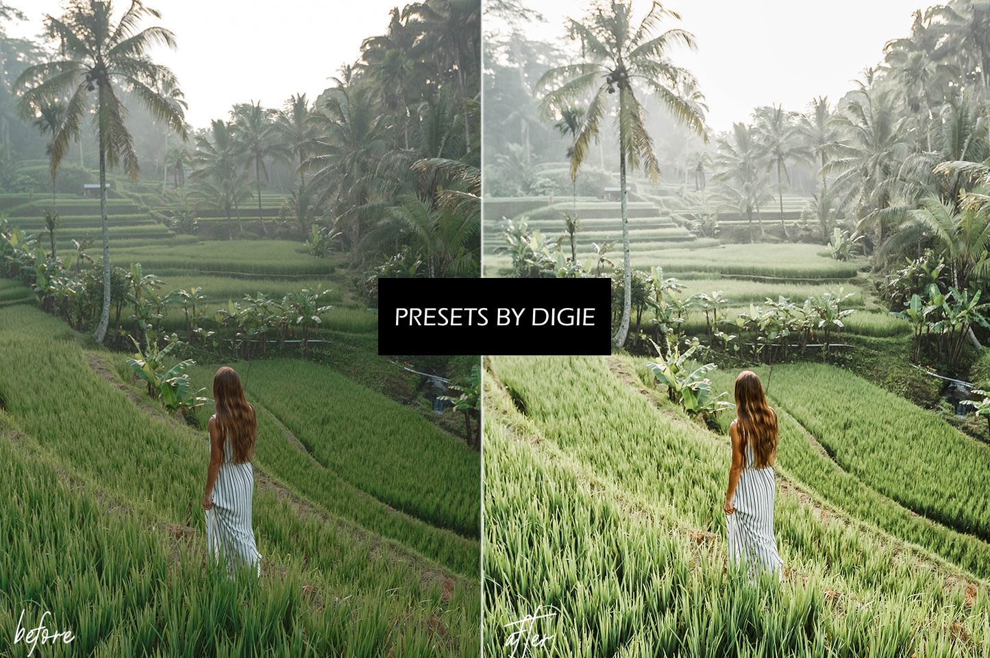 10 MATCHA LIGHTROOM MOBILE & DESKTOP PRESETS