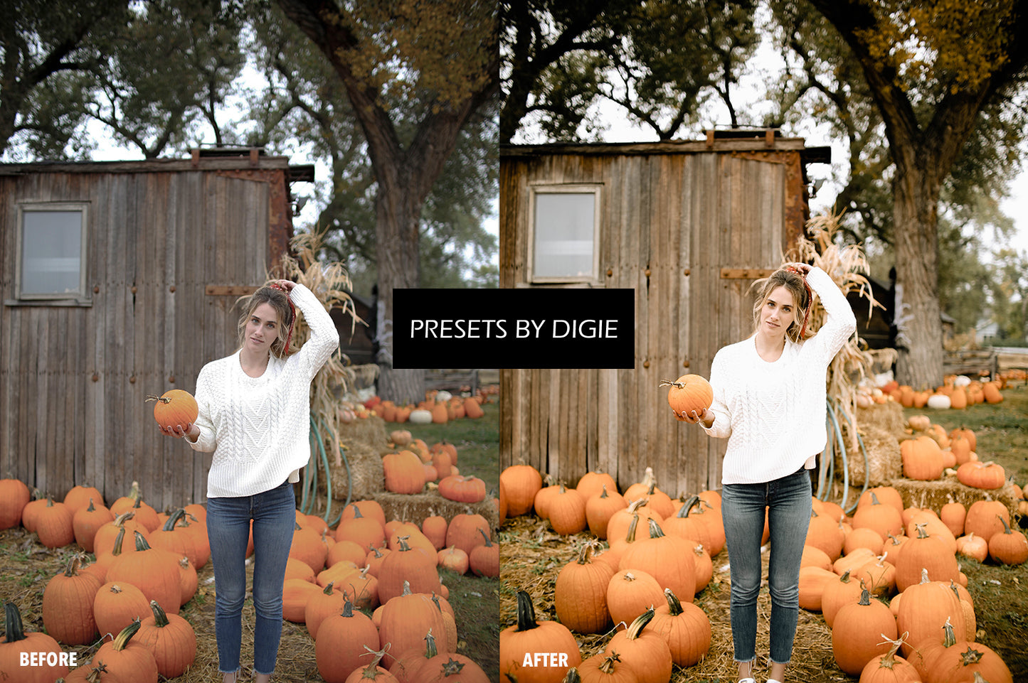 10 PUMPKIN LIGHTROOM MOBILE & DESKTOP PRESETS