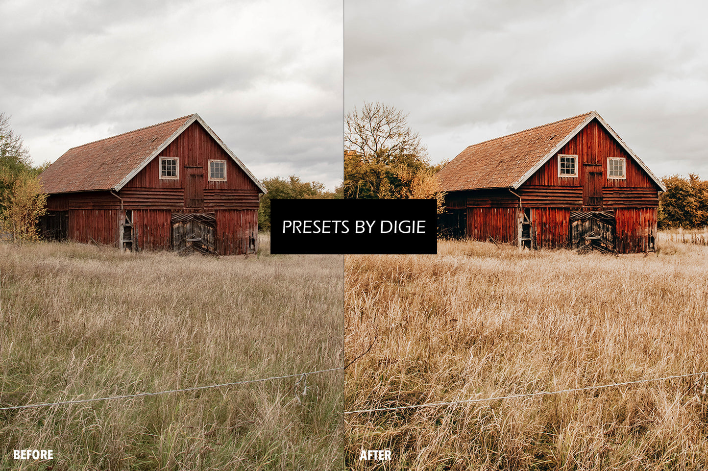 10 HARVEST LIGHTROOM MOBILE & DESKTOP PRESETS