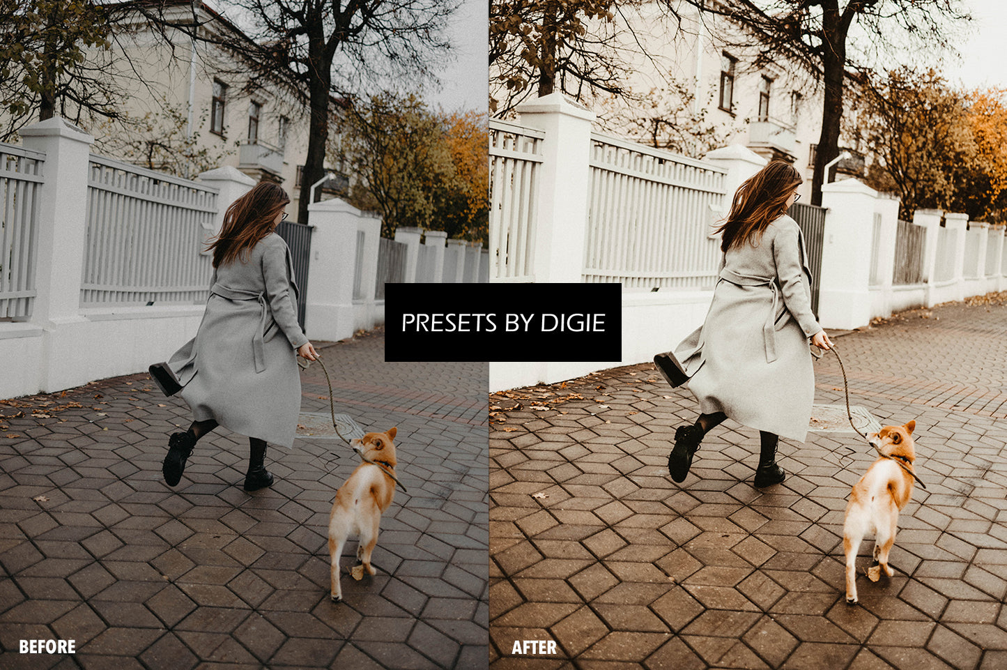 10 SEPTEMBER LIGHTROOM MOBILE & DESKTOP PRESETS