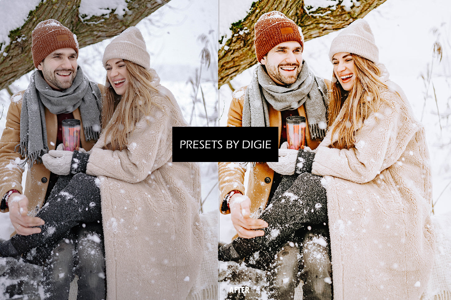 10 SNOW LIGHTROOM MOBILE & DESKTOP PRESETS