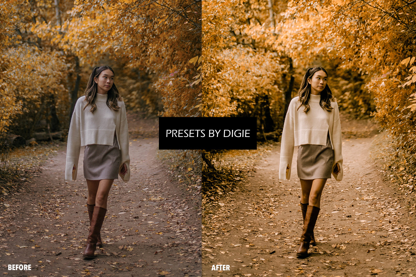 10 PUMPKIN LIGHTROOM MOBILE & DESKTOP PRESETS