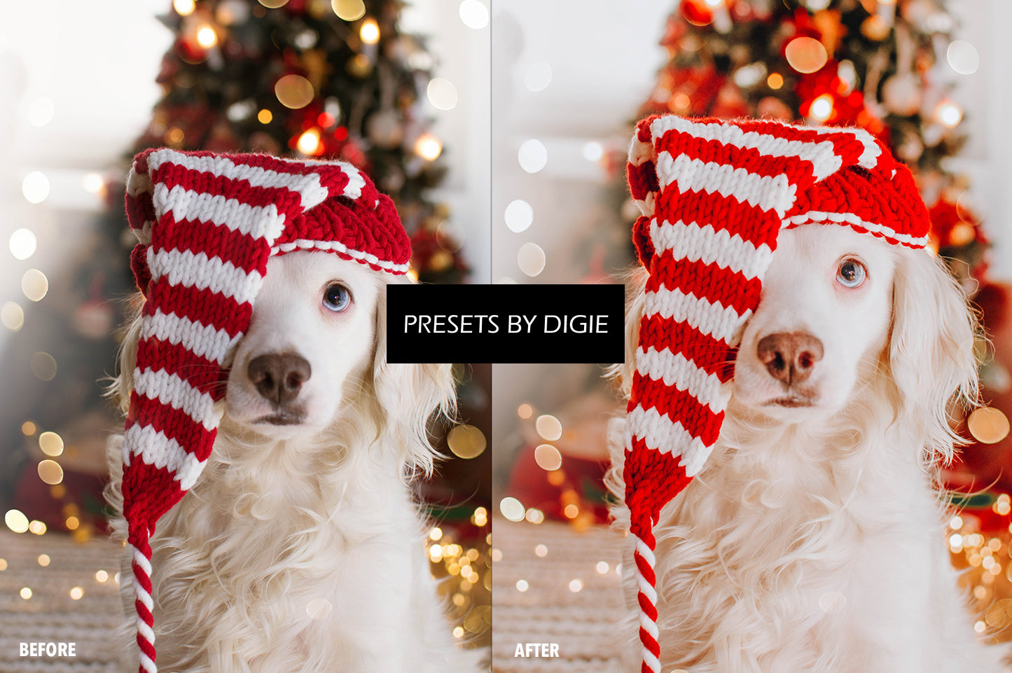 10 CHRISTMAS LIGHTROOM MOBILE & DESKTOP PRESETS