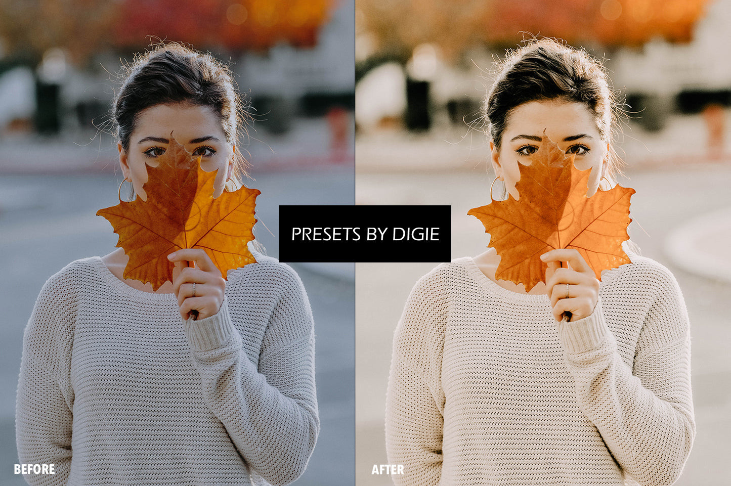 10 PUMPKIN LIGHTROOM MOBILE & DESKTOP PRESETS