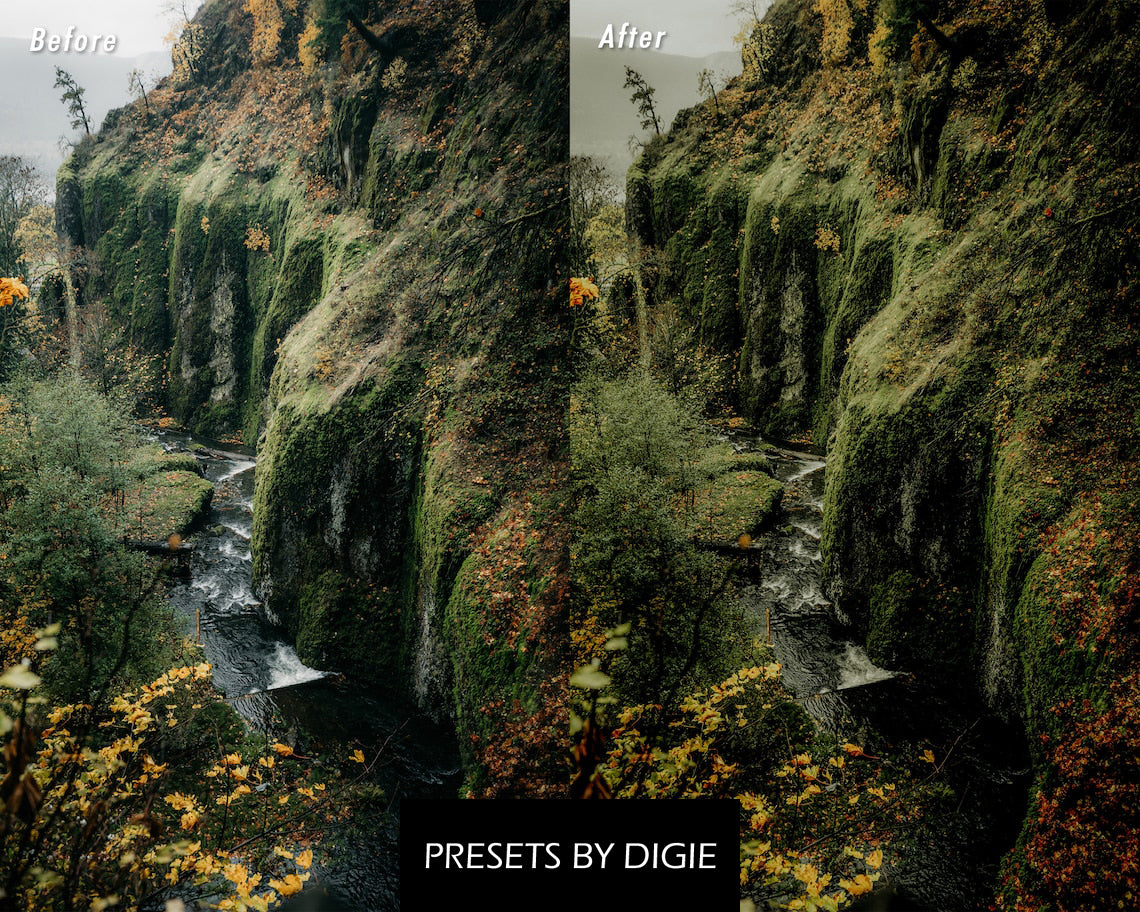 10 DEEP GREEN LIGHTROOM MOBILE & DESKTOP PRESETS